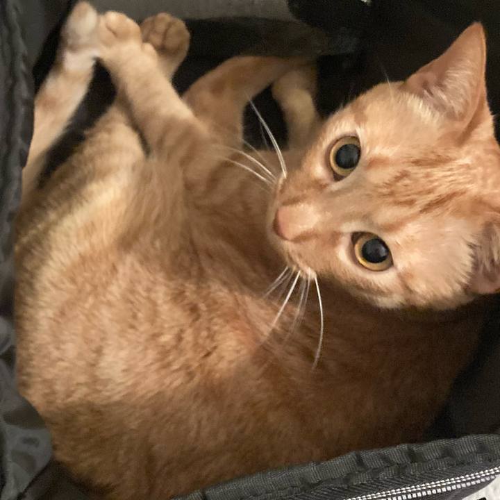 49e39419 4ac8 4a33 87d9 915e865a170e 1614428171259