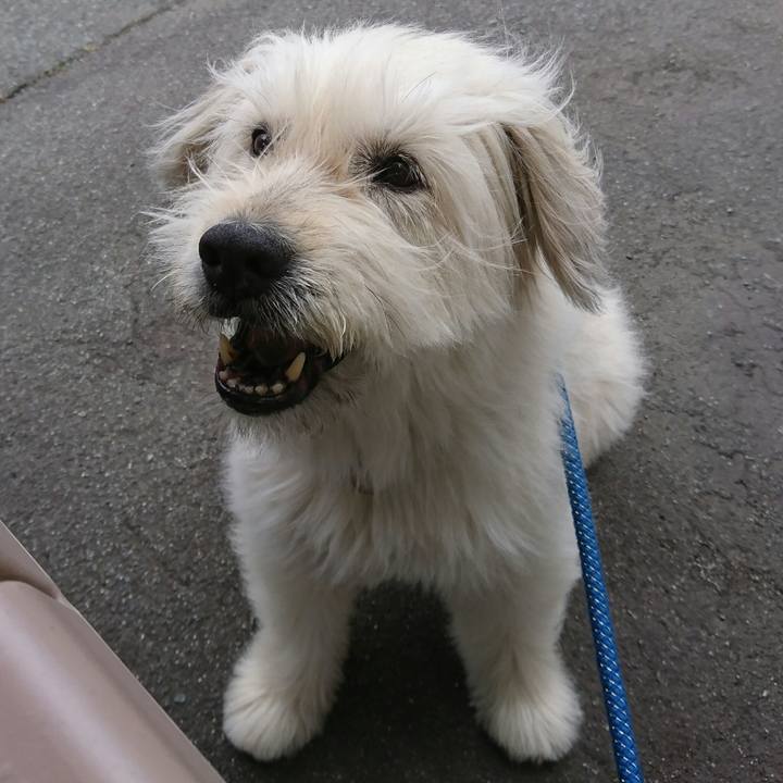 49e3c4fc 3f28 4427 8a9c 146c9dd02b90 1562487261893