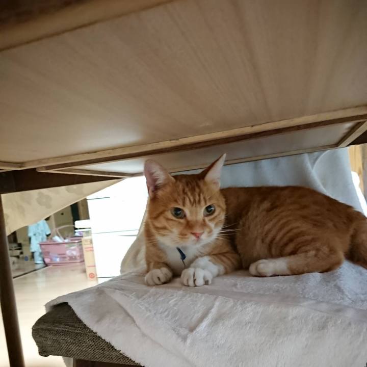 49e3cc0c 7e89 4ad5 8685 c284df2910ea 1599767734895