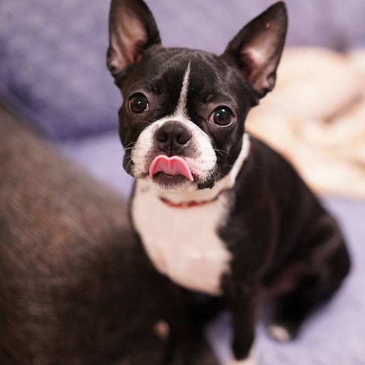 49e3fd92 eef3 45be af9c 4fa21d9b7cfd 1548405926396