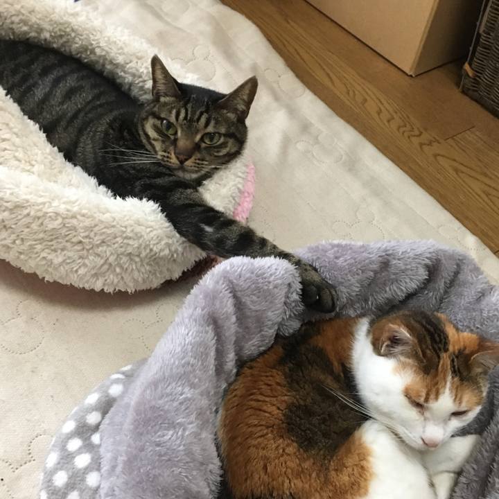 49e40cf6 126e 475d ba0b a8168ad3a406 1524544033809