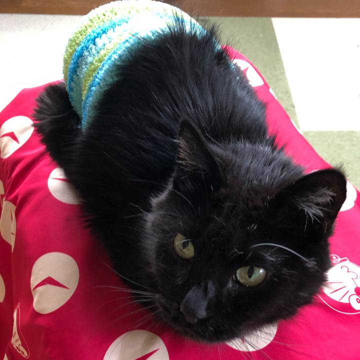 49e43038 1f66 4aa9 8711 6d4b2daa51b2 1635664068511