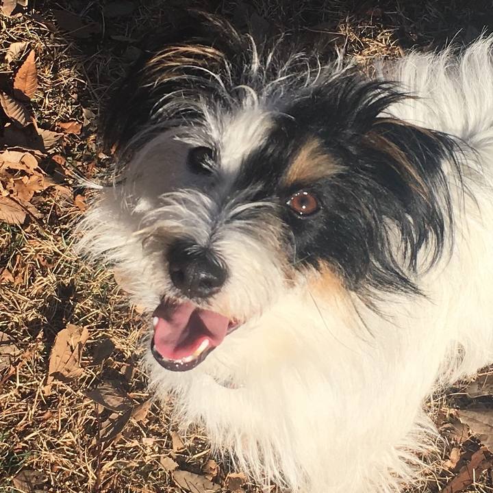 49e46027 e0c7 4daa 8720 6631a4814251 1518559919688