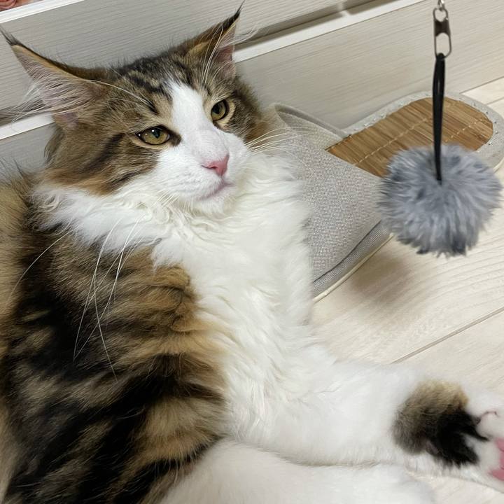 49e4b2e5 8cd8 4a65 beae ca7fd2436c98 1636462984844