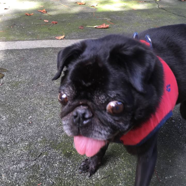 49e4bd3a 54b1 40b0 b8ec c103b7850bca 1537355562805