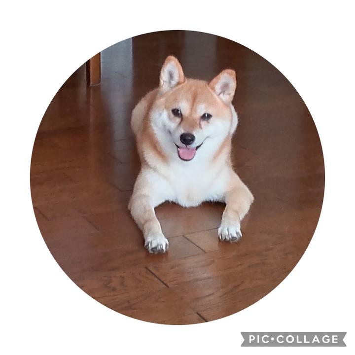 49e5050f 8507 46b7 9b30 a2e17fefb8f4 1725075925112