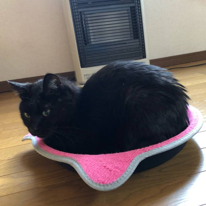 49e50d1e 13ac 4856 a238 44b852f4e057 1569967289965