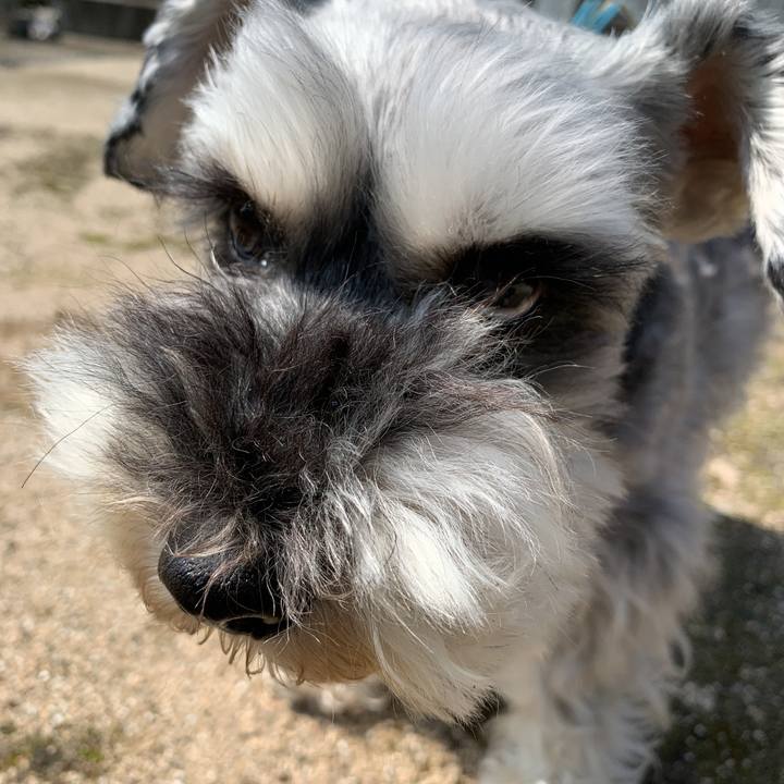 49e54703 605c 4789 a1d9 81b8c953cd09 1593148136635