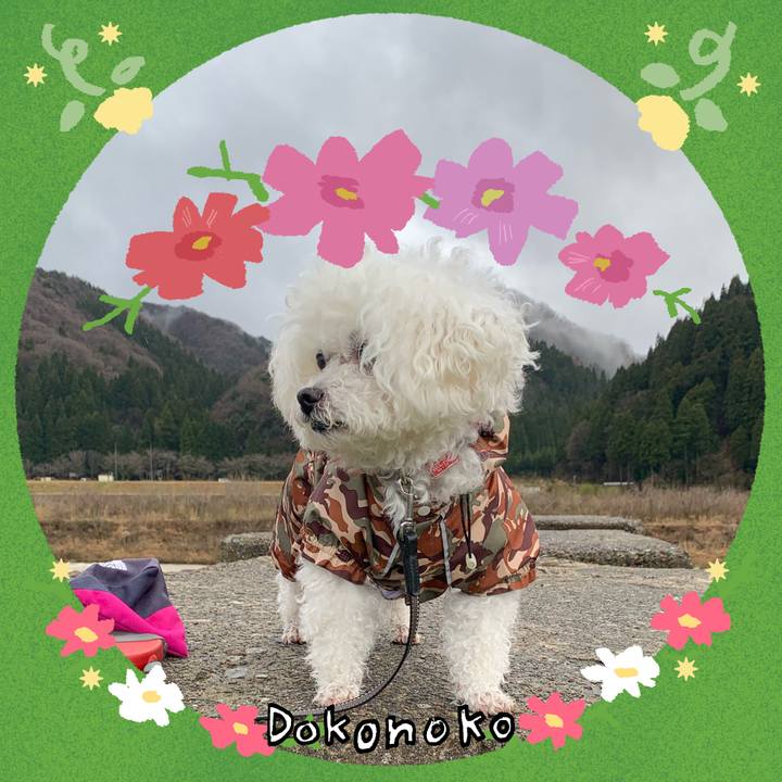 49e5aec6 48ff 41c9 a3ef d97405ce1cbd 1727280227980