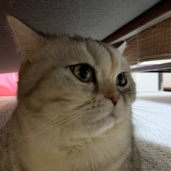 49e5c824 d75c 4553 8997 53a60fbca51a 1707729216611