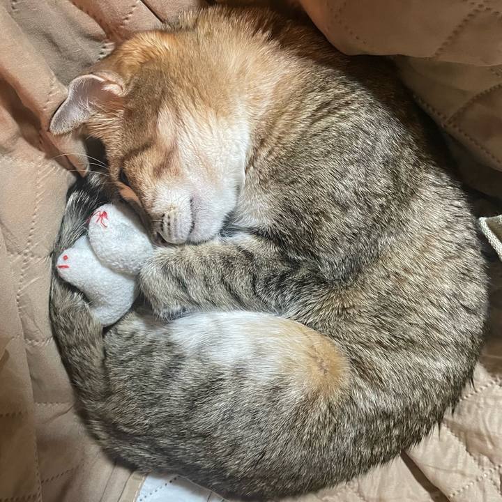 49e5caa9 b233 4498 8792 157b69b6c739 1734407489867