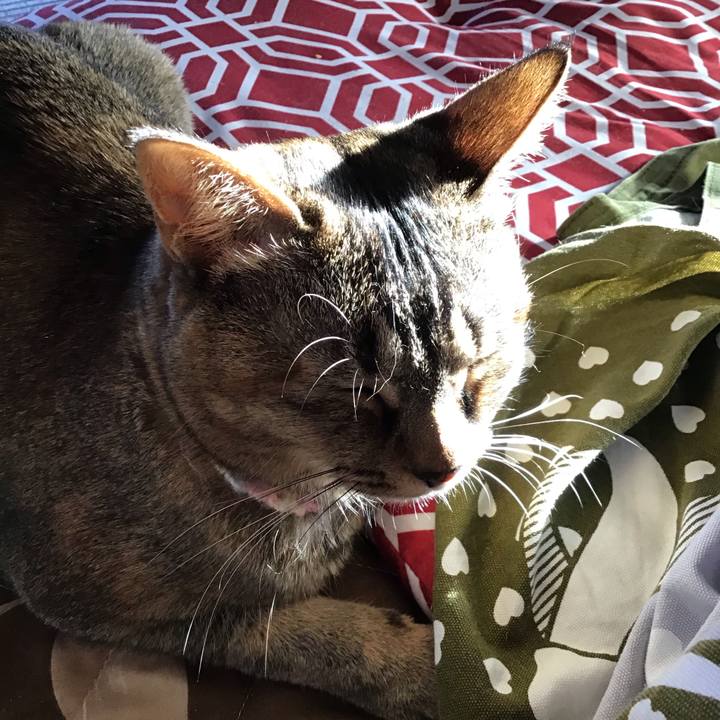 49e5f730 bb65 4ac0 8458 3024e3db0ac1 1616054698261