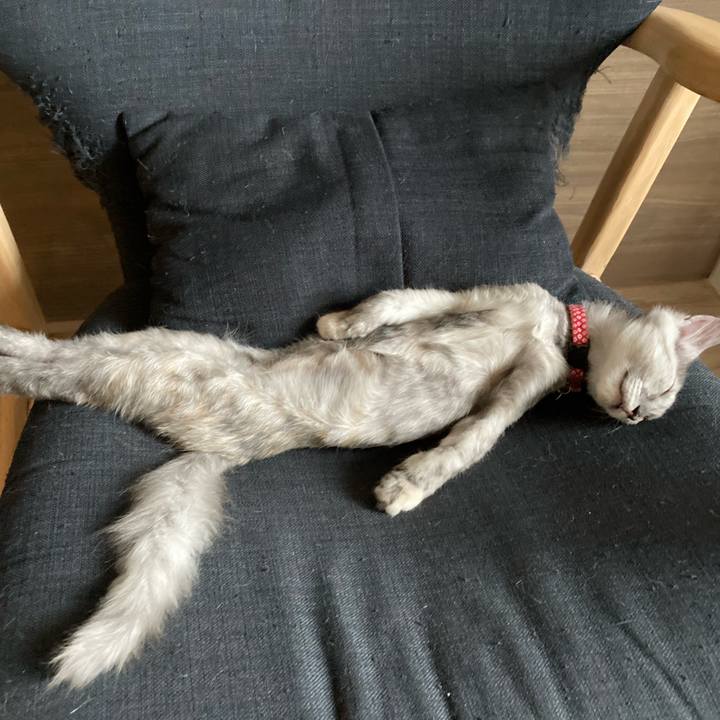 49e62c55 e5c7 401a aa2c 456e45ce68ab 1694072324597