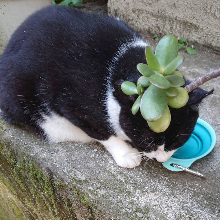 49e655d5 4e19 46e0 9334 4359eaec93bd 1597824471546