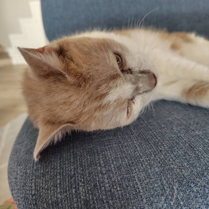 49e6723b b0c9 4b8e 85a2 e25e6aa69a42 1727648973710