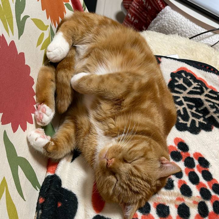 49e67f82 bdc0 479d 82f6 406bb4229def 1651236315811