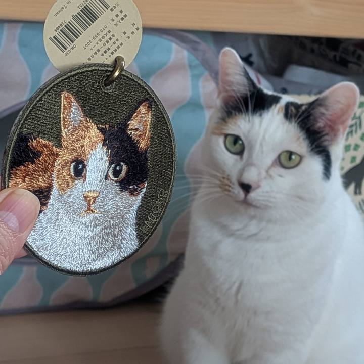 49e6b40e c378 433b 8a54 3bb137857cd8 1758750333333