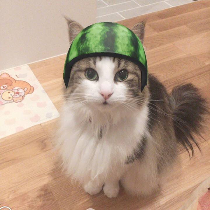 49e6d5ea 0987 4ae4 bbd3 419f1e0f465e 1563324754866