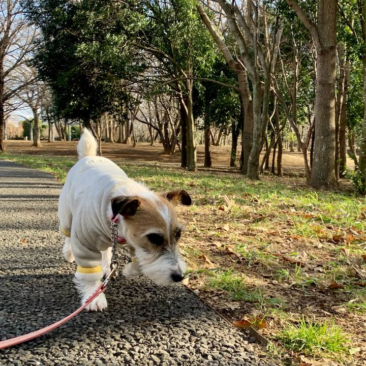 49e6de24 1952 4126 b1c3 40a216fecd6d 1613642095048