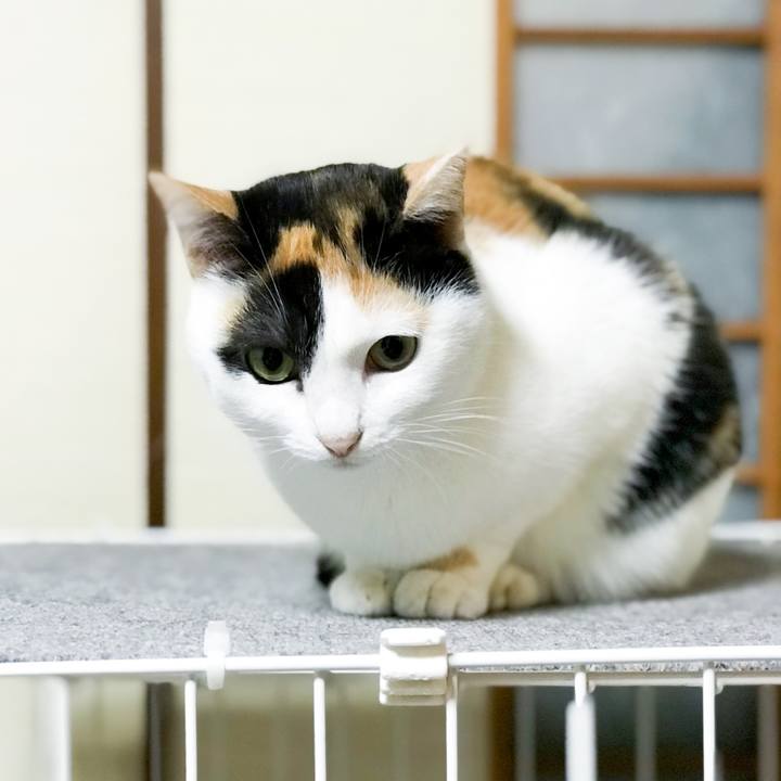 49e6e025 bb98 47bf a4d7 25ce6f74bc6c 1514332376855