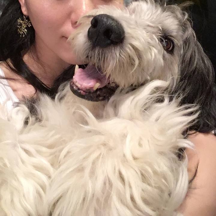 49e7b6ad 1a70 47f9 a378 2db85c33db51 1533000661371