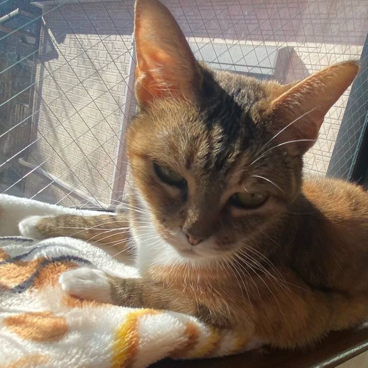 49e82c1d d6e4 495c b7f7 0e570a4f801c 1611969949886