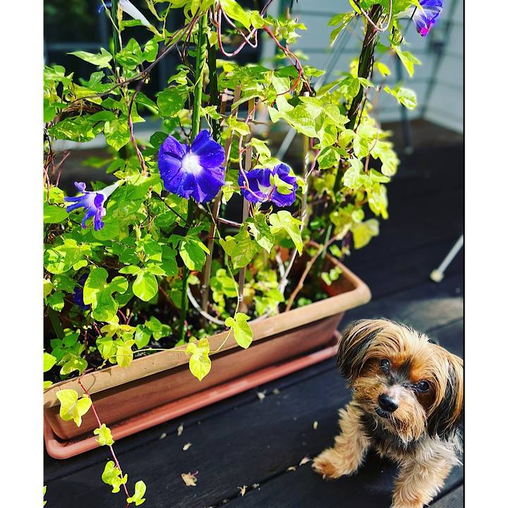 49e83fbd c13d 4be1 ba36 5f669caaa86a 1662418216381