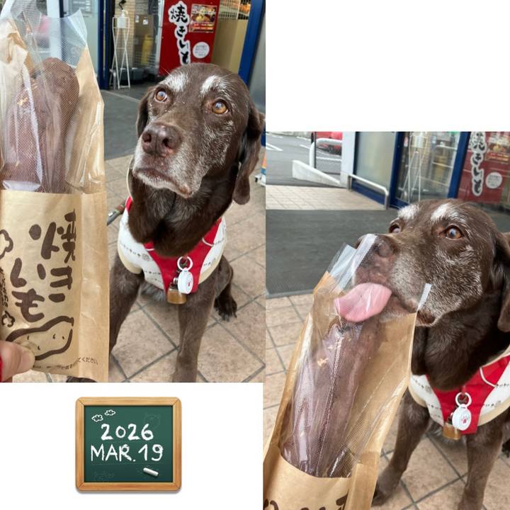 49e84bfa ab0e 4a6e 9968 2f09b245dd82 1773967463905