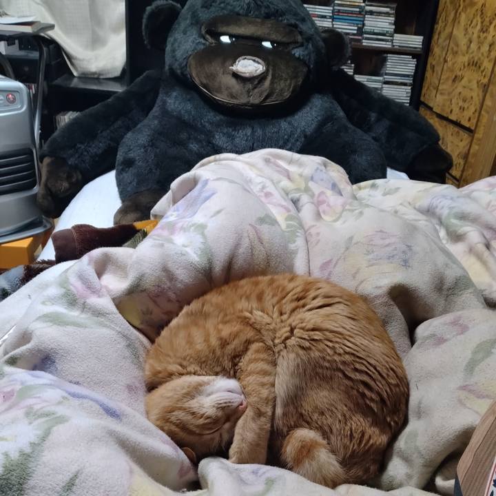 49e85909 9d08 4df2 9dc8 33817897bd40 1678795490487