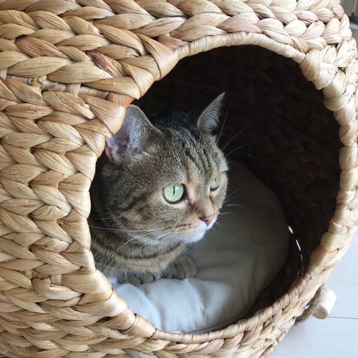 49e8bc89 1572 4327 be11 5932dc86823b 1527830837402