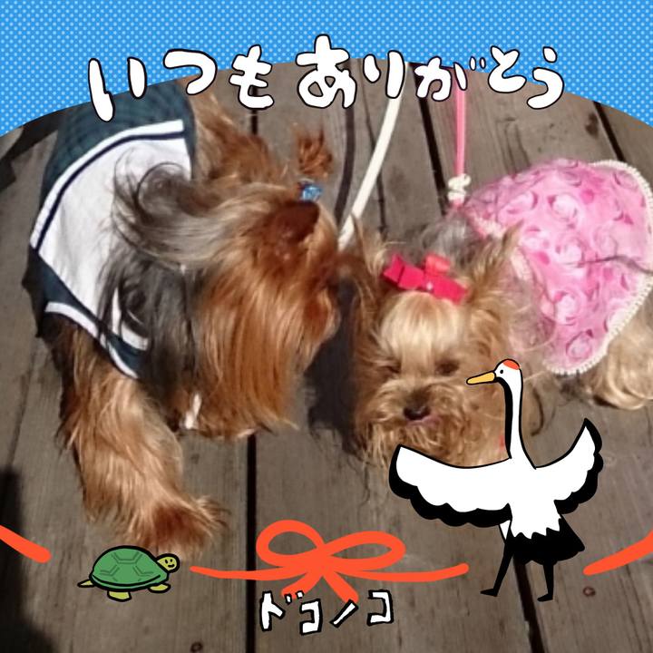 49e8c3dc b5c6 4505 b8d1 d1529c95f9d2 1727395881336