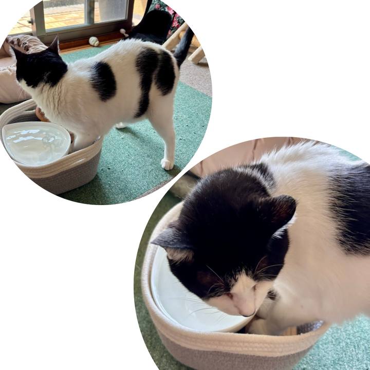 49e8e233 87ed 421f b16b 8ddfa33b0584 1757816210023