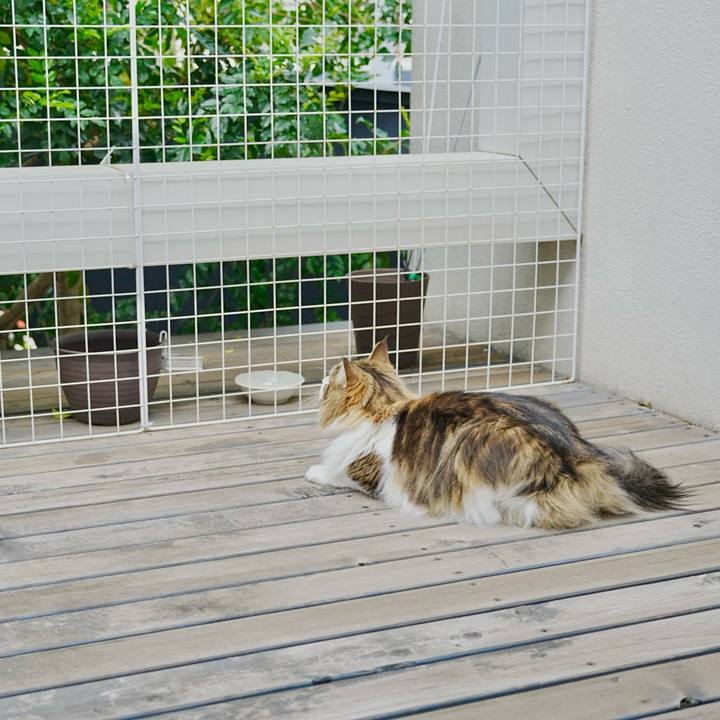 49e8f223 94a9 494f 8ec7 e74b5bd4921b 1713664917230