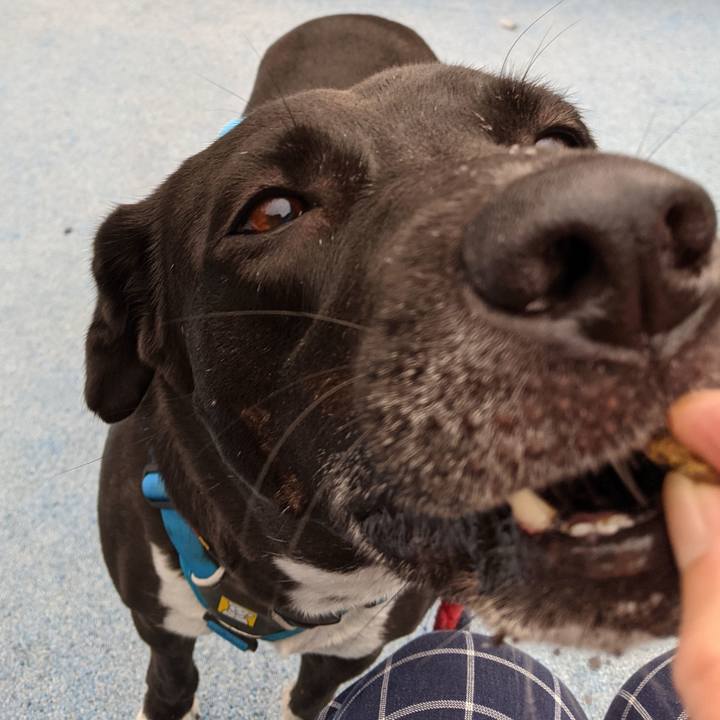 49e9155f 68f4 4cea b028 9be8f8e65d45 1631578359159