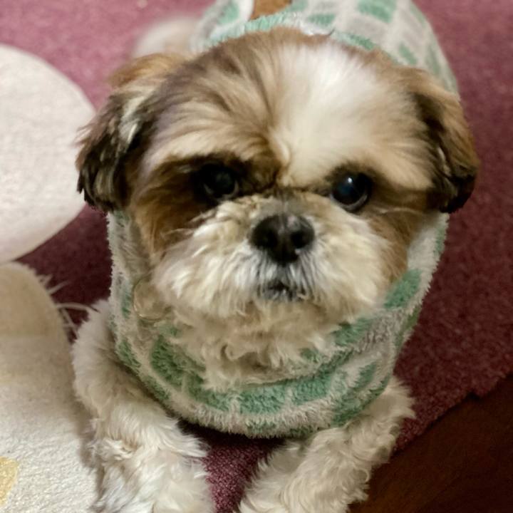 49e9641e 737e 40db bc07 d7ab40cc0d99 1642068206450