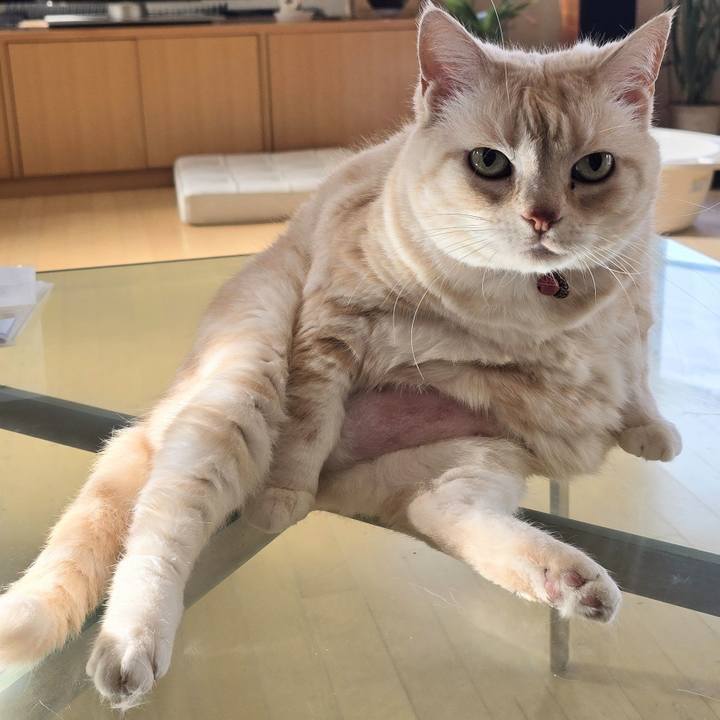 49e98556 6210 498a 8437 45621370c12f 1749162266657