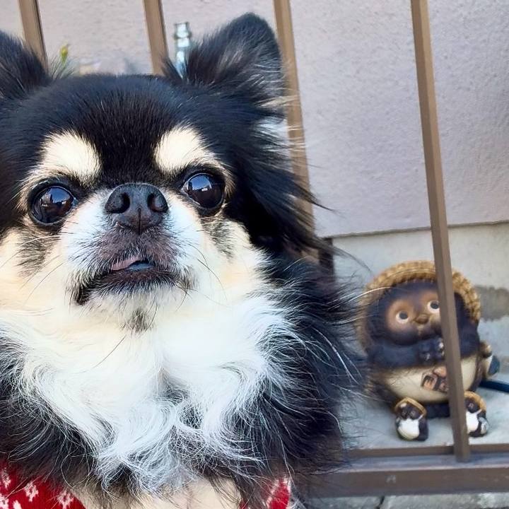 49e98dd2 a1c6 46c5 a458 172b2ab3518f 1763984436481