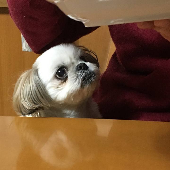 49e9e09a b4a8 401f 8e5d d4a33df816df 1550137920412