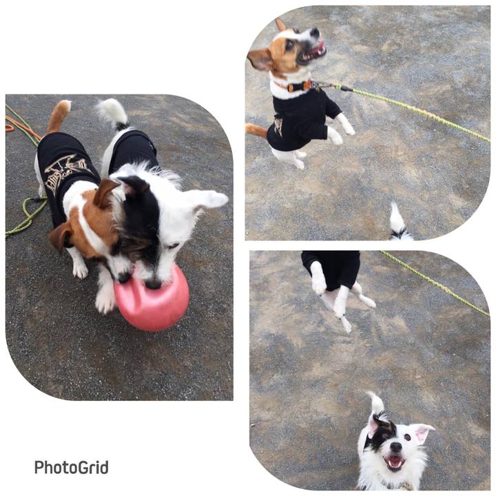 49e9e418 4455 4c43 bdfc 56488d3bd7f9 1686830840613