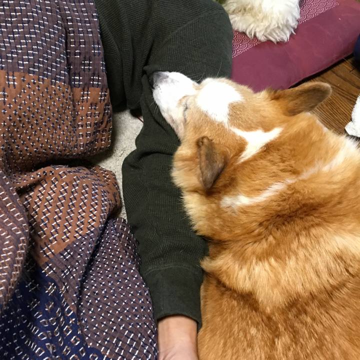 49ea3d2f 9b35 4e54 845e 614454539595 1573898241211