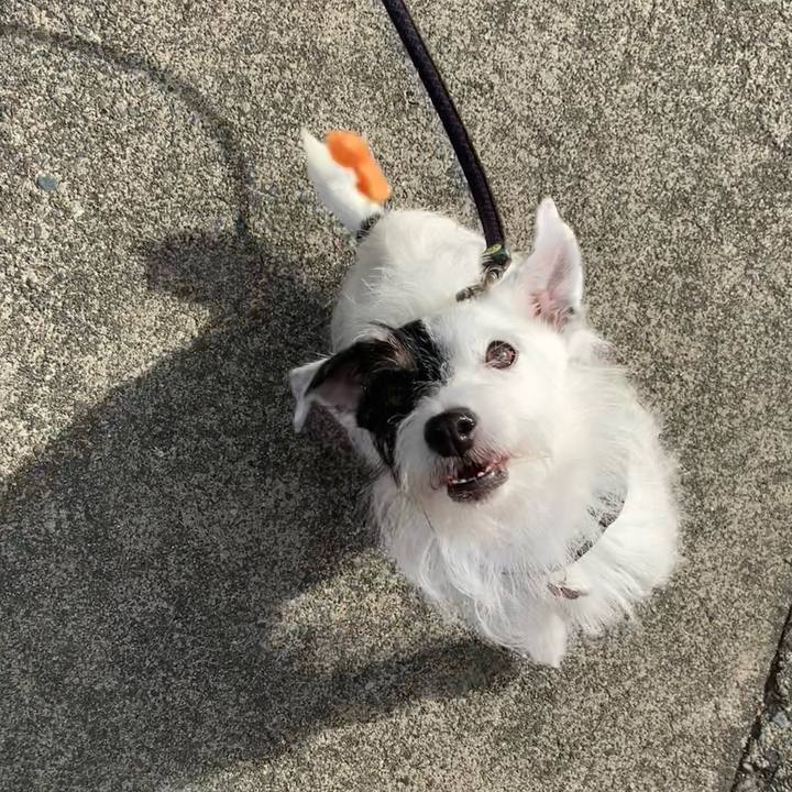 49ea4b98 ec6e 4181 bcc5 acb637f9c5b8 1695769913147