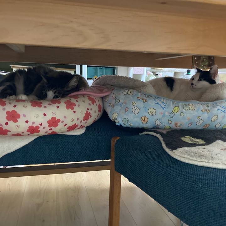 49ea4e79 1d4d 4228 87c4 e3dc6faac249 1759574772878