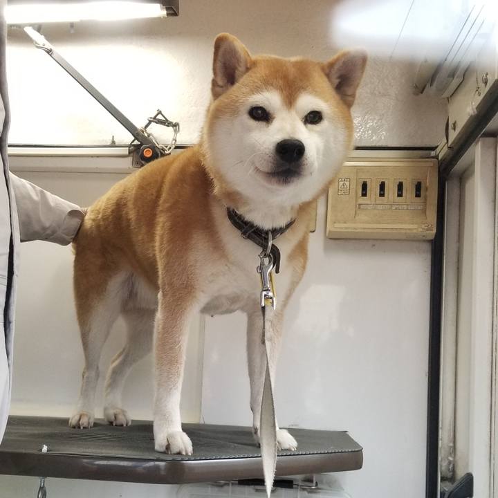 49ea8c8b cbf6 4a74 86b8 01d2ee4410ed 1631071570352