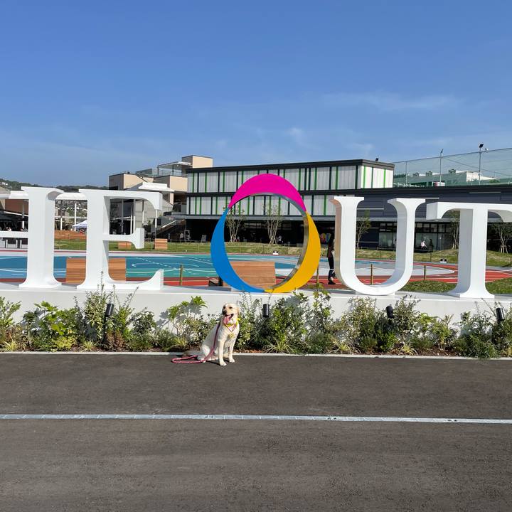 49ea9656 8261 42a3 b0c6 91057ecd1e2c 1651046003584