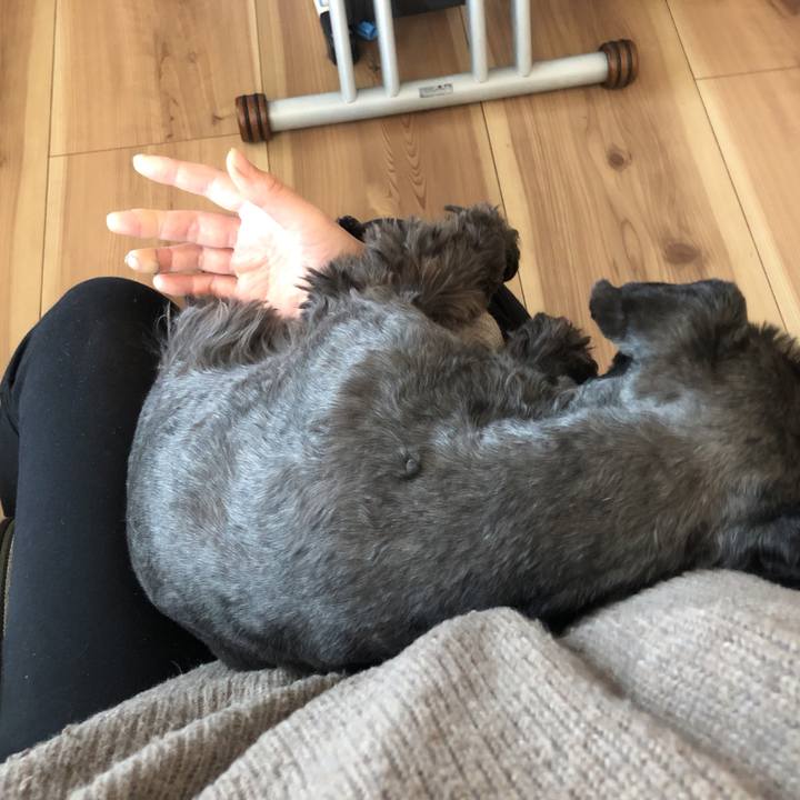 49ea9df0 aa54 4454 b50f c625369d7634 1520052528546