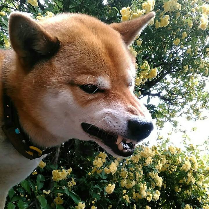 49eaa475 1204 4aec 96c2 eb0f6d1c220e 1556331864530