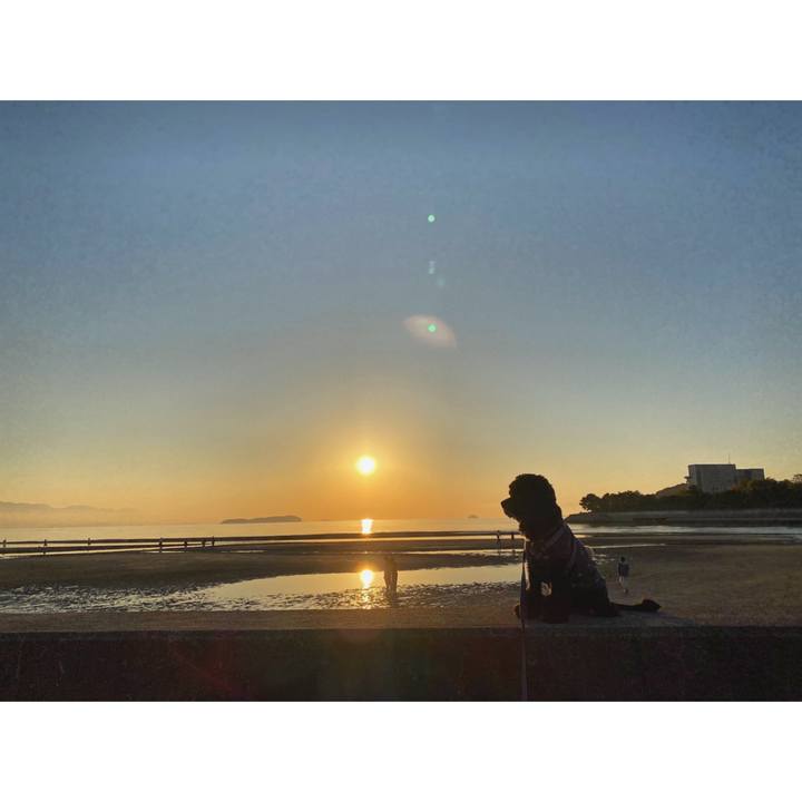 49eac352 6363 4e17 b963 6596d8922e85 1604564717732