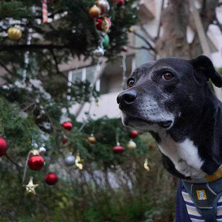 49eadb64 d6e8 445d babe 2c4815e8a9f9 1766362800527