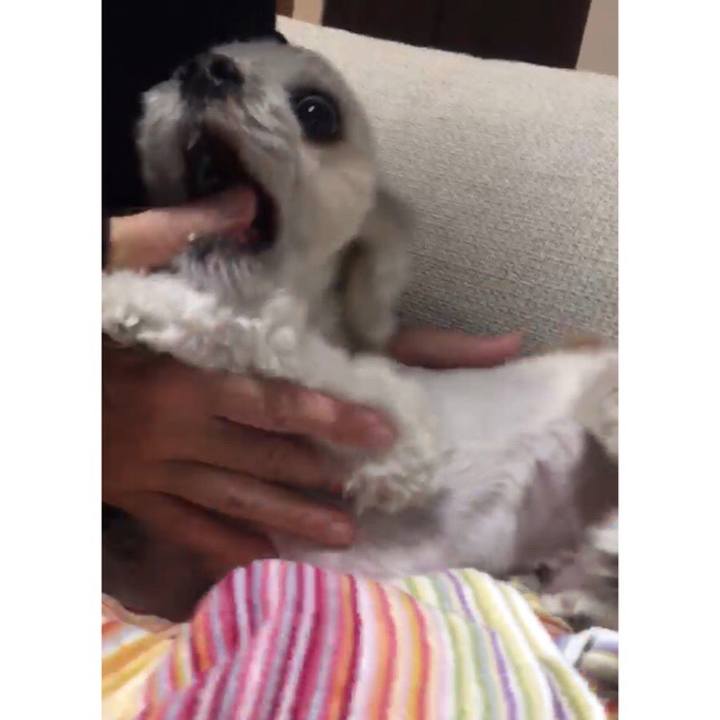 49eae667 739a 47ce 804f 5561171bcd9d 1519943687259