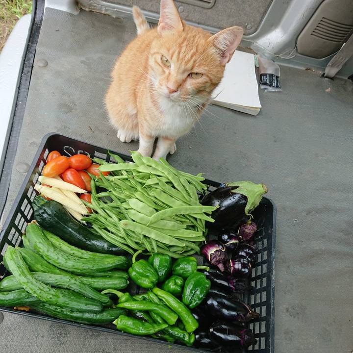 49eb0c37 51e3 4c72 ba9e 3e140df5e2d9 1595632949619